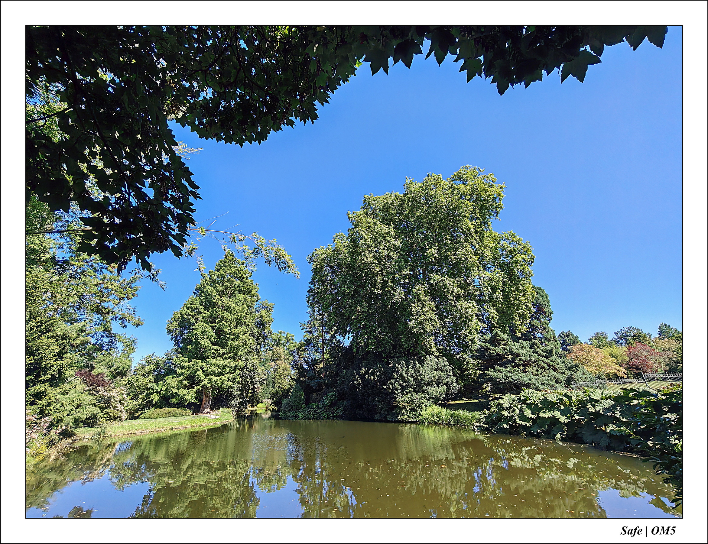 2025 - 08 - Vallée des loups - 38